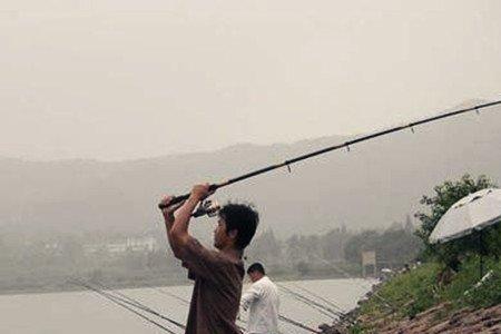 钓鱼时鱼总会把海竿拉跑怎么办