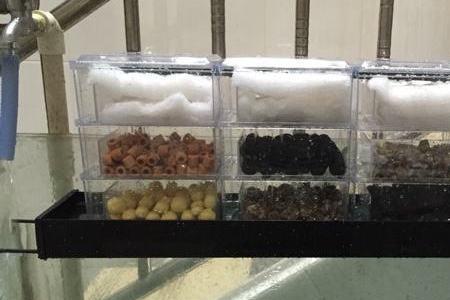鱼缸过滤魔毯放在第几层