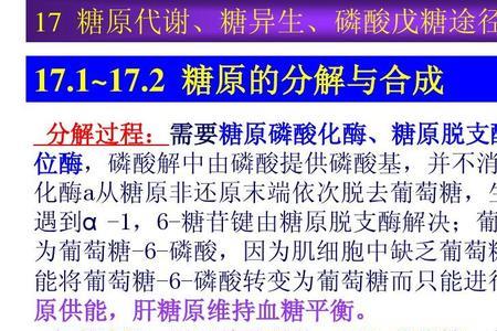 糖原的非还原性末端是什么