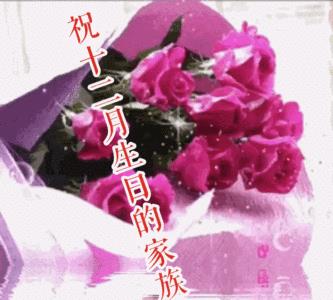 十二月初四生日的明星
