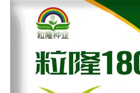 南阳春玉米高产早熟品种