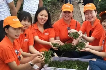 花椒家族跟公会什么区别