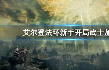 艾尔登法环100级武士加点