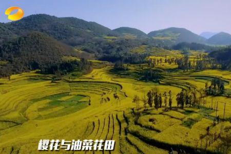 天天向上贵州安顺是哪一期