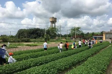 为什么现在年轻人都喜欢广撒网