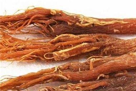 干红参怎么泡发