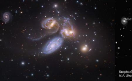 星系魔须宇宙鱿稀有吗
