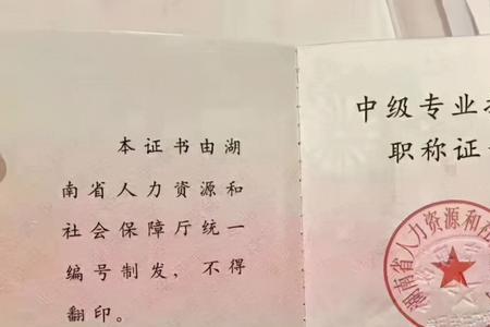 火车上都有什么职称