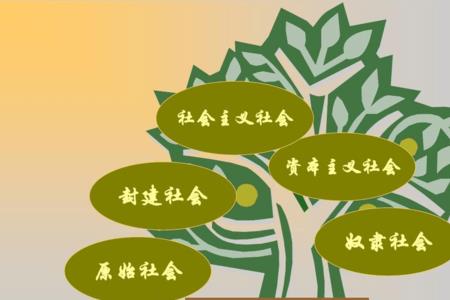 社会经济原因指的是什么