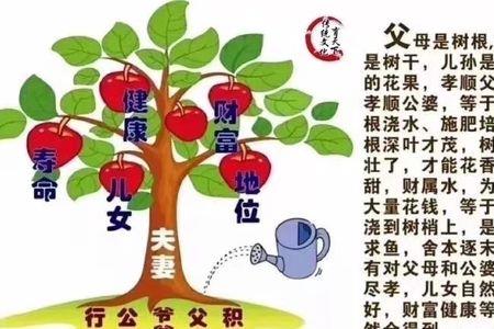 父母培养优秀孩子的名言鉴赏
