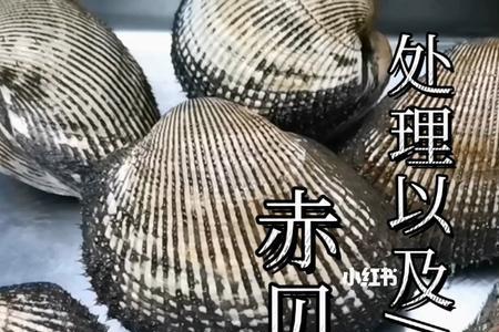 清蒸赤贝的做法大全