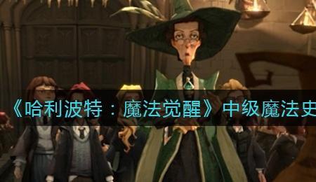 怎么给哈利波特魔法史课出题