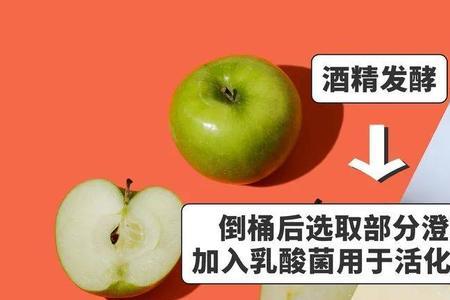 乳酸发酵第一阶段的产物和场所