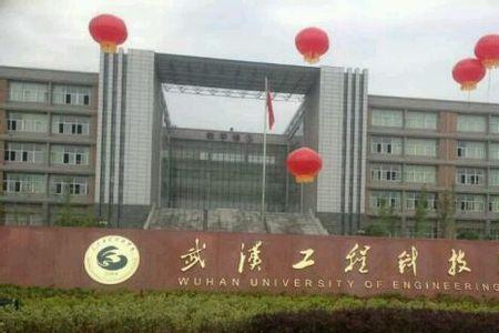 武汉工程学院是职业技术学校吗