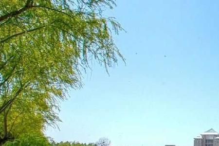 文科生上武汉科技大学怎么样