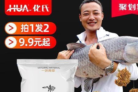 沙坑散炮2号钓青鱼效果怎么样
