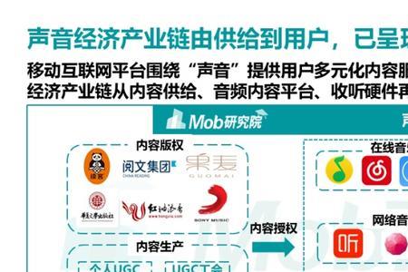 媒体视角什么意思