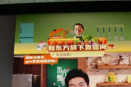 东方甄选骞哥是导演吗