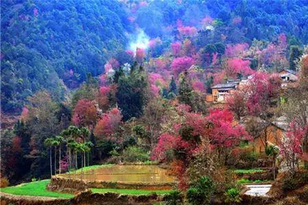 红河州冬天哪里最暖和