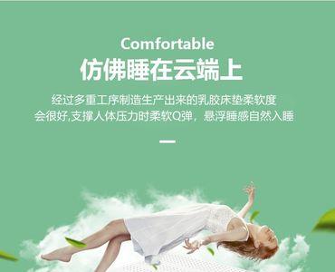 三d丝和乳胶哪个好