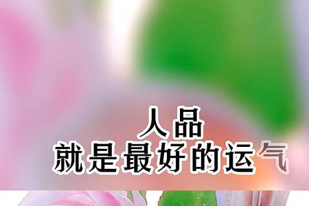 代表运气好的成语