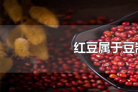 红豆以前叫什么