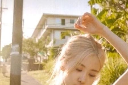 rose朴彩英应援色