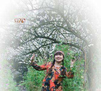 相约春风歌曲原唱