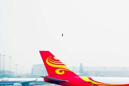 金鹏航空会经常取消航班吗