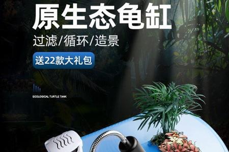 鱼缸养乌龟什么意思