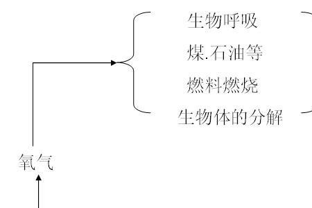 碳循环的特点是什么
