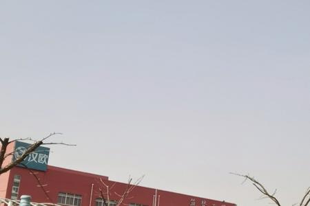 临沂有华昌食品有限公司吗