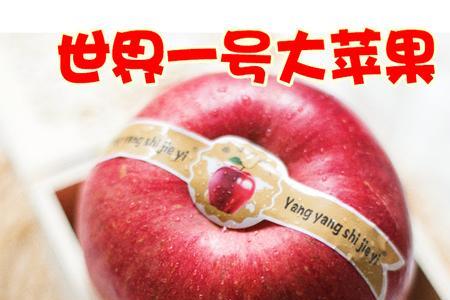 为什么有的苹果超大