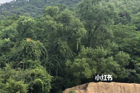 深圳凤凰山大概要爬多久
