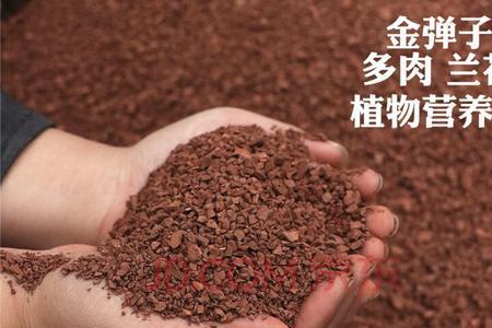 哪种风化石最好