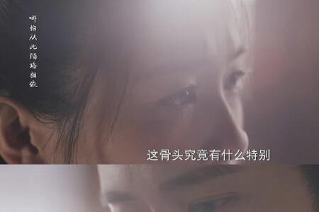 周生如故为什么叫周生如故