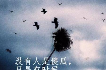 感悟人生经典语句