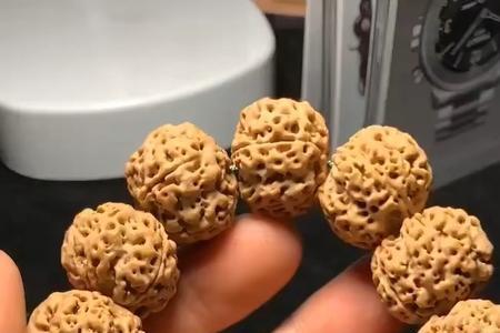 蜂巢金刚怎么看品相