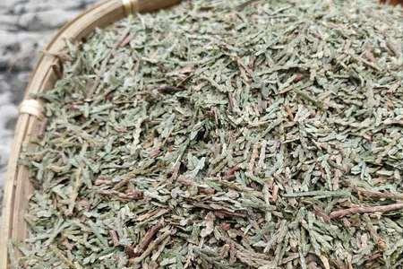 侧柏叶用什么锅煮好