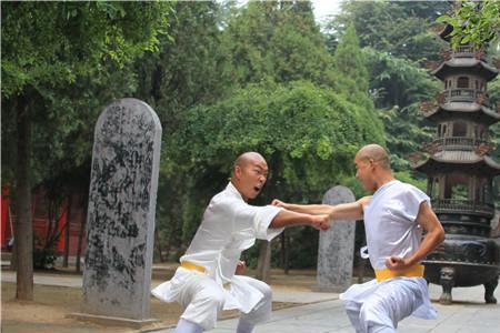 为什么只有少林寺会武功