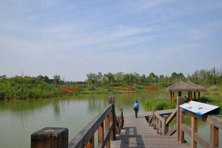成都府南河湿地公园在什么地方