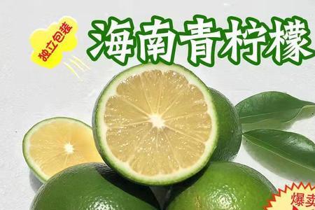青柠种子怎么种