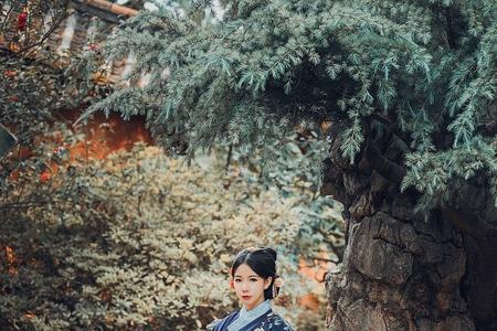惊鸿和相思哪个好