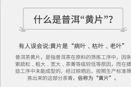普洱茶黄金叶品尝心得