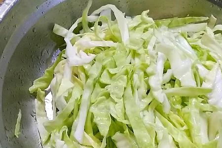包菜切丝可以冷冻保存吗