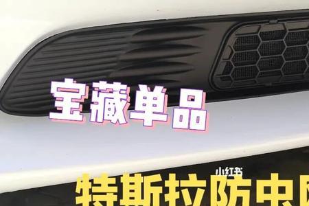 特斯拉防虫网怎么清洗