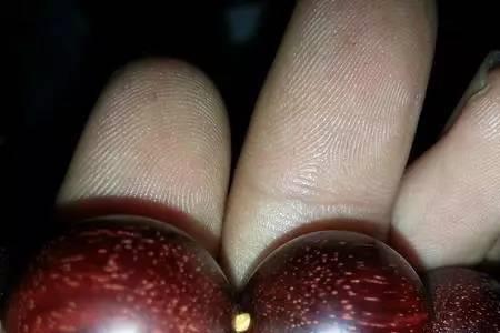 小叶紫檀结果子有用吗