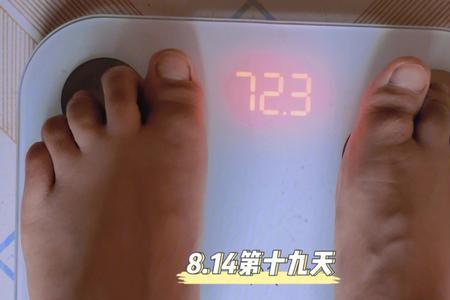 一个月19天是多少天