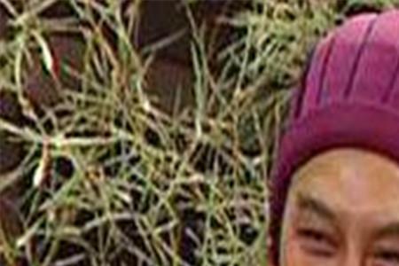 龙凤卧雏是什么意思