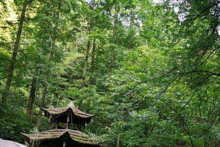 青城山后山登顶多少公里